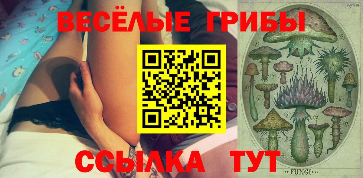 Галлюциногенные грибы мицелий  Галлюциногенные грибы прущие грибы  Вход с VPN  Старая Русса 